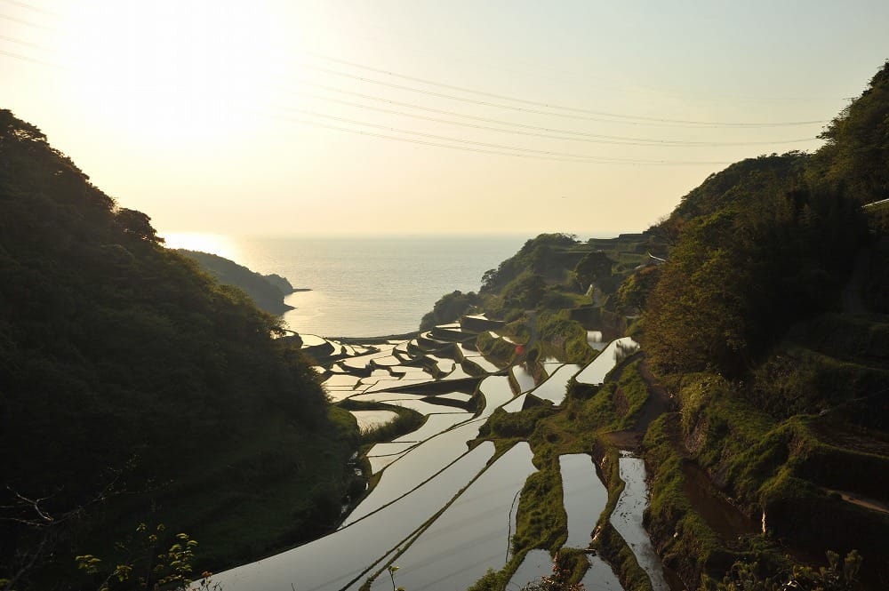 浜野浦の棚田